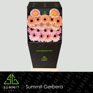 Germini Mix 3 kleuren Diamond