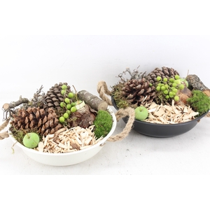 arr4 Amaryllis MB - Zink bolschaal black white