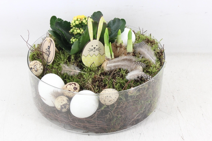 <h4>arr2 PL - Glas cilinder laag kal. narcis</h4>