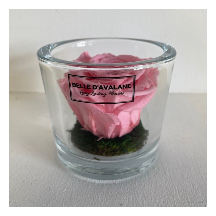 <h4>Cilinder d9x8h roze roos glas</h4>