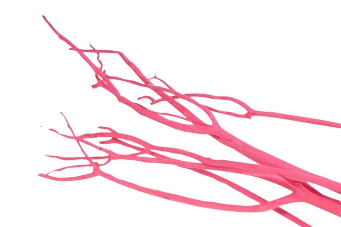 <h4>Mitsumata Flaked Pink 3pc Bunch</h4>