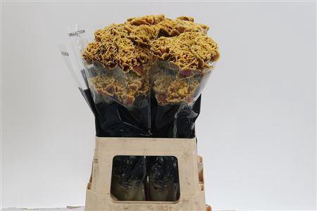 <h4>Di St Painted Toffee</h4>