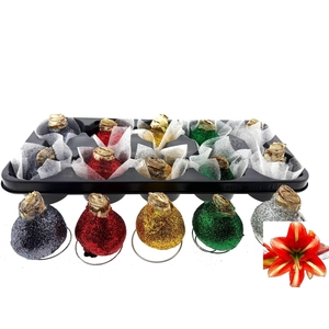 BLOEMBOL HIPPEASTRUM