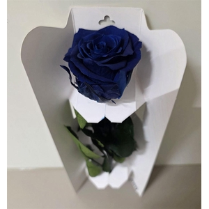 Ro Pres Stem 30cm Blue