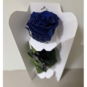 Ro Pres Stem 30cm Blue