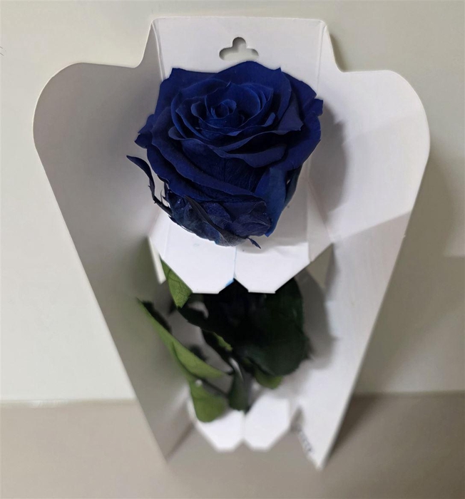 <h4>Ro Pres Stem 30cm Blue</h4>