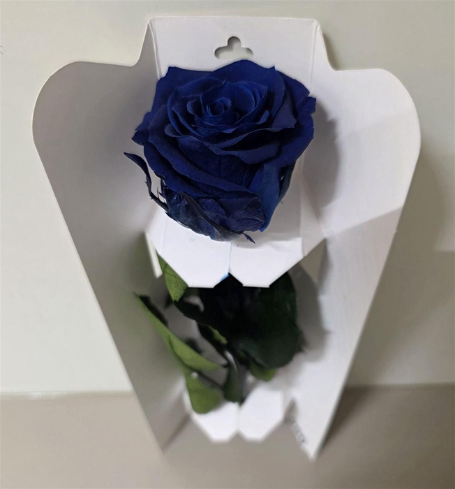 <h4>Ro Pres Stem 30cm Blue</h4>