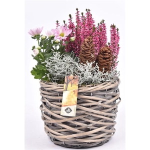 Wilg mand grijs 18cm