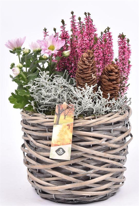 <h4>Wilg mand grijs 18cm</h4>