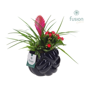 Keramiek knot pot met Arrangement