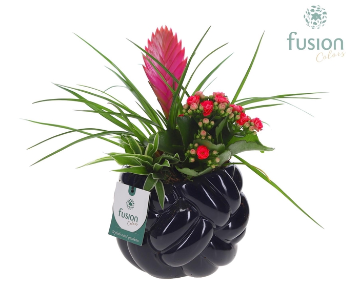 <h4>Keramiek knot pot met Arrangement</h4>