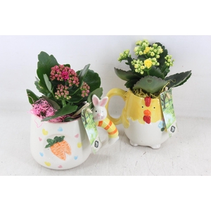 arr2 JS - Keramiek mok kip haas