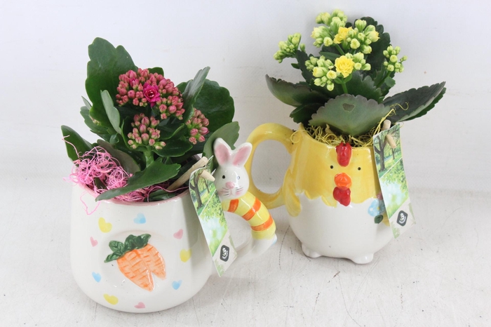 <h4>arr2 JS - Keramiek mok kip haas</h4>