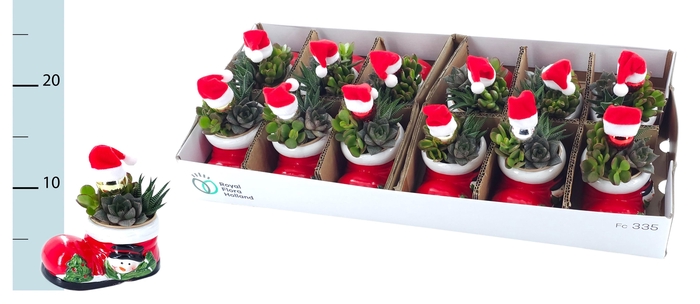 <h4>ARR KERST</h4>