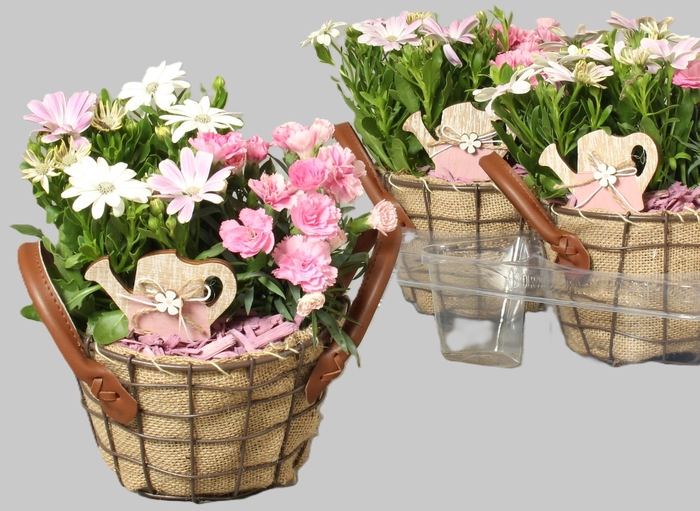 <h4>ARR TUINPLANTEN</h4>