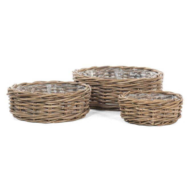 <h4>Mand   ...H%</h4>