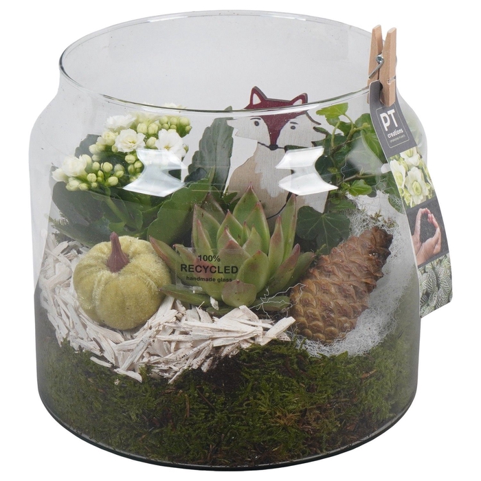 <h4>Arr.   Planten L%</h4>