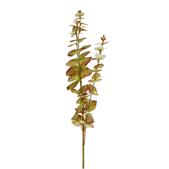 <h4>Kunstbloemen Eucalyptus 80cm</h4>