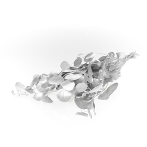 Eucalyp Pop Pres Silver