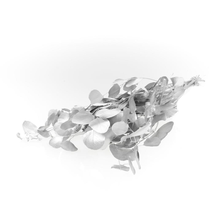 <h4>Eucalyp Pop Pres Silver</h4>