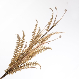 Boston Fern Bundle Beige DE990001BGE