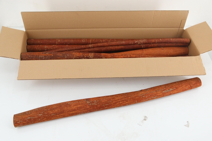 <h4>Cinnamon KM 80cm (5KG)</h4>