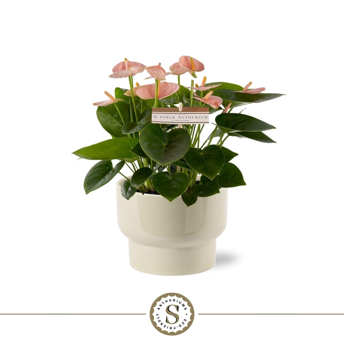 <h4>Athene Keramiek Taupe - Spirit</h4>