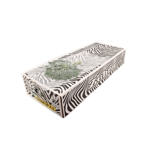 Aralia Small V P X 5