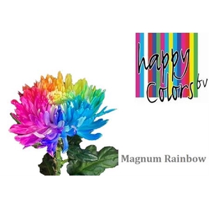 Chr G Magnum Rainbow