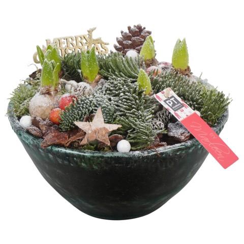 <h4>PTHCH6768 Arrangementen Hyacinthus</h4>