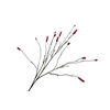 Sanguisorba Aubergine