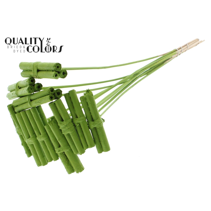 <h4>Jute Stick Posy on stem Covered Light Green</h4>