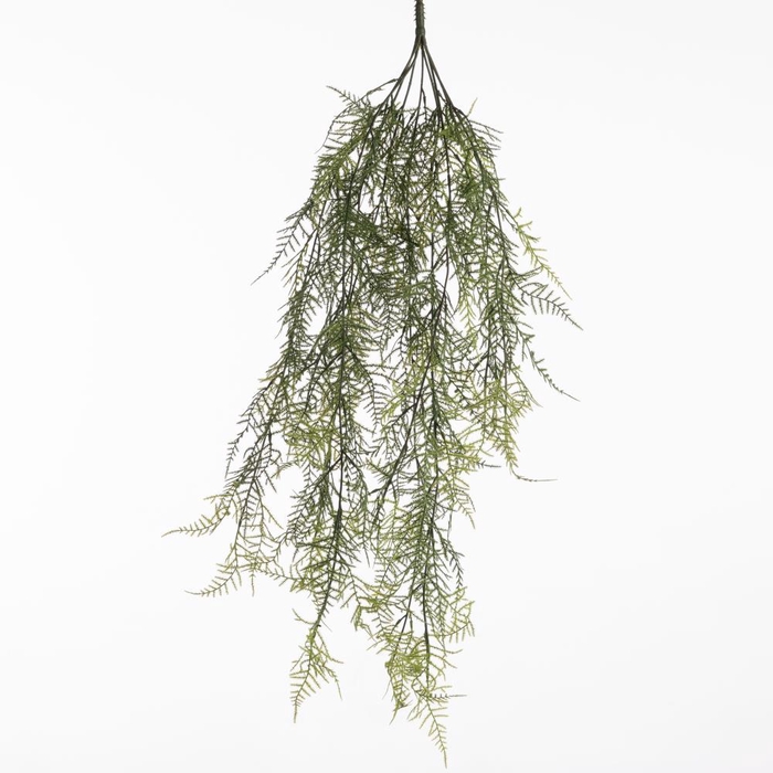 <h4>Af Hangpl Asparagus X 9 L76cm</h4>