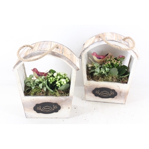 arr2 TD - Hout huis rond dak - roze/wit