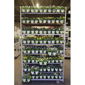 Vio Co Ov Mixk Div Kleuren