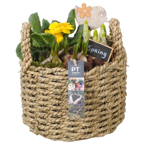 <h4>PTBM3132 Arrangementen Tuinplanten</h4>