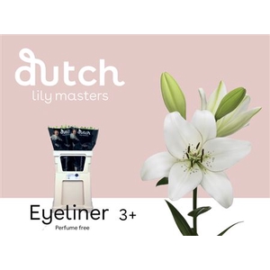 Li La Eyeliner 3+
