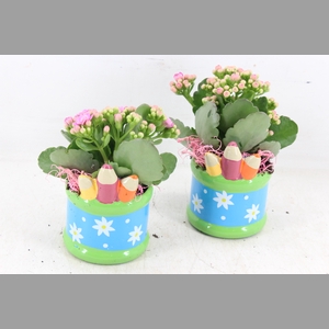 arr2 JS - Ker. pot pencil - roze