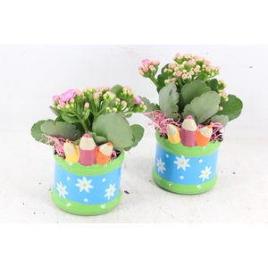 arr2 JS - Ker. pot pencil - roze