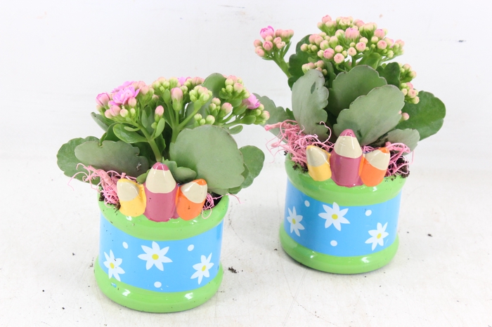<h4>arr2 JS - Ker. pot pencil - roze</h4>