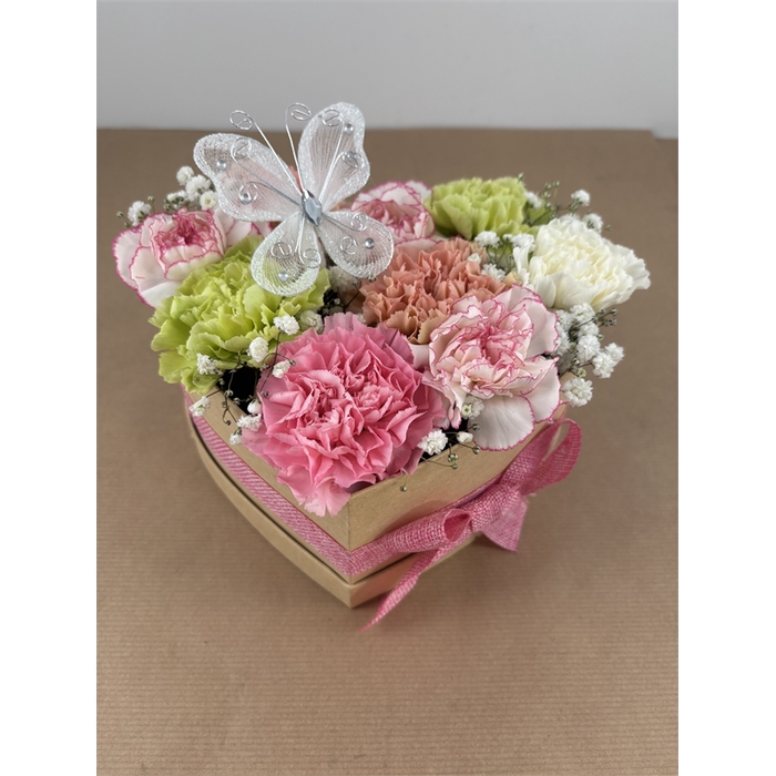 <h4>BLOEMENBOX NIEUW</h4>