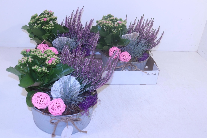 <h4>ARR TUINPLANTEN</h4>
