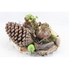 arr4 Amaryllis MB - Hout schijf 2bol