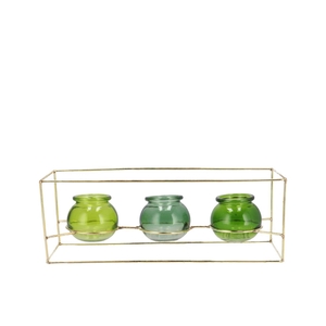 Polly Fresh Green Mix Metal Rack 3 Glass Ass 35x11x13cm