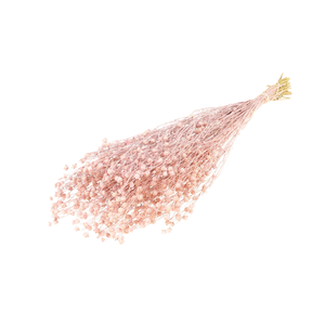 Linum Pink Misty