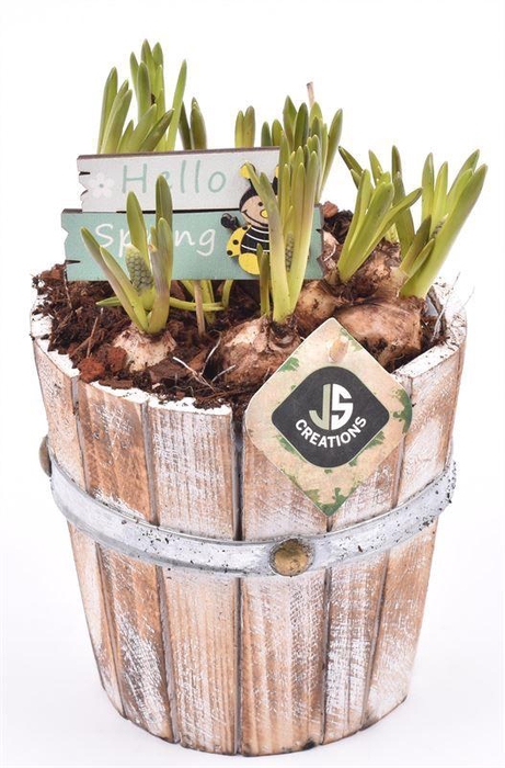 <h4>Hout pot 15cm</h4>