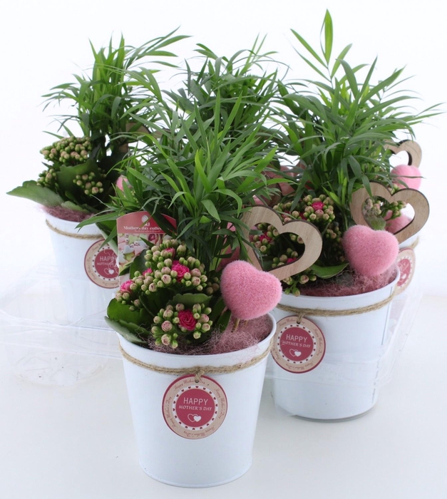 <h4>ARR KAMERPL</h4>