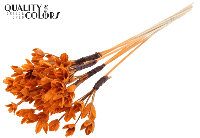 <h4>Bakuli On Stem Bleached Orange</h4>