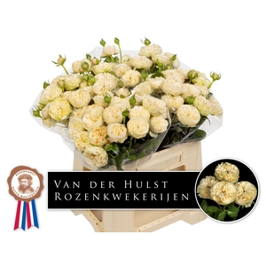 R Tr Royal Champagne Paul Hulst