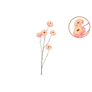 Silk Zinnia Peach 106cm